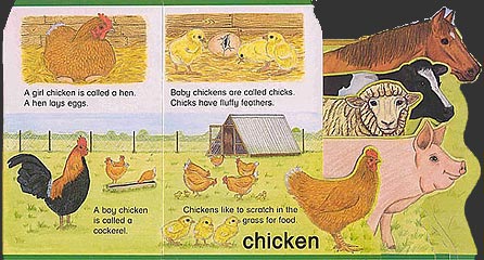 Lets look at Farm Animals