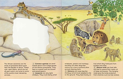 WINDOWS ON NATURE GRASSLANDS REGION