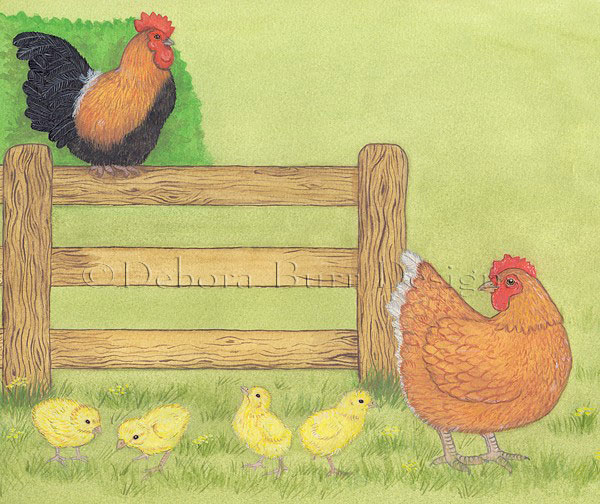 Cockeral & hen with chicks