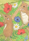 Mice and poppies