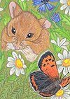 Mice and butterfly