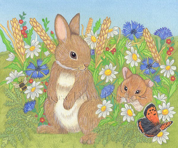 Red Riding Hood in kitchen