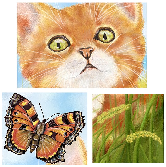 Close up of butterfly and kitten