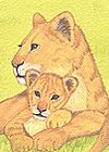 African Savanah Pride of Lions watercolour illustration